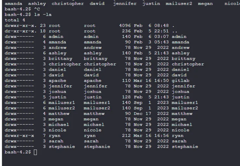 image-20250319144039992