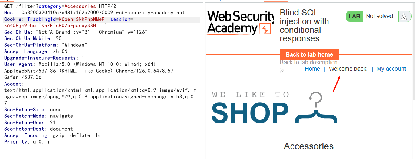 image-20250501211415895