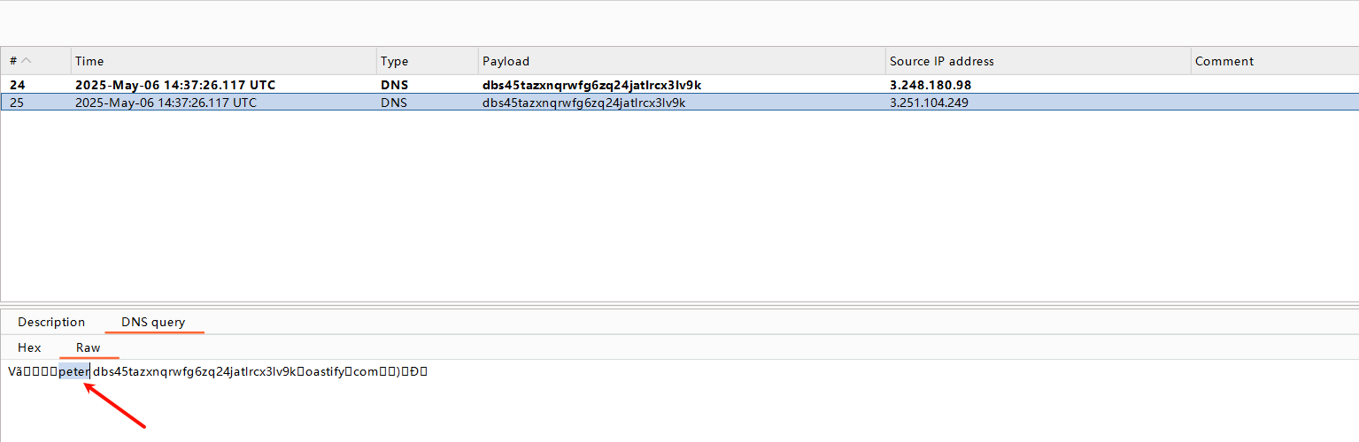 image-20250506223800948