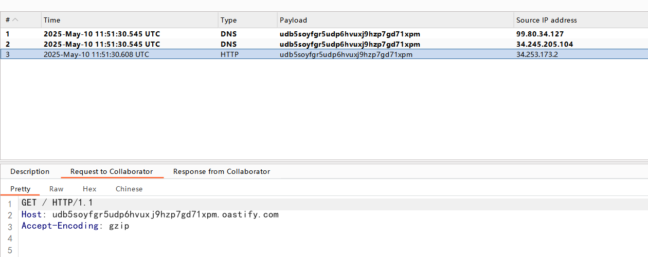 image-20250510195244789