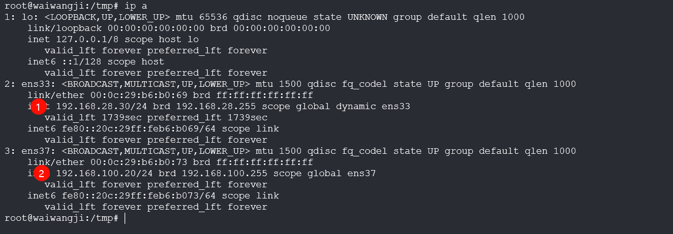 image-20250527164916721