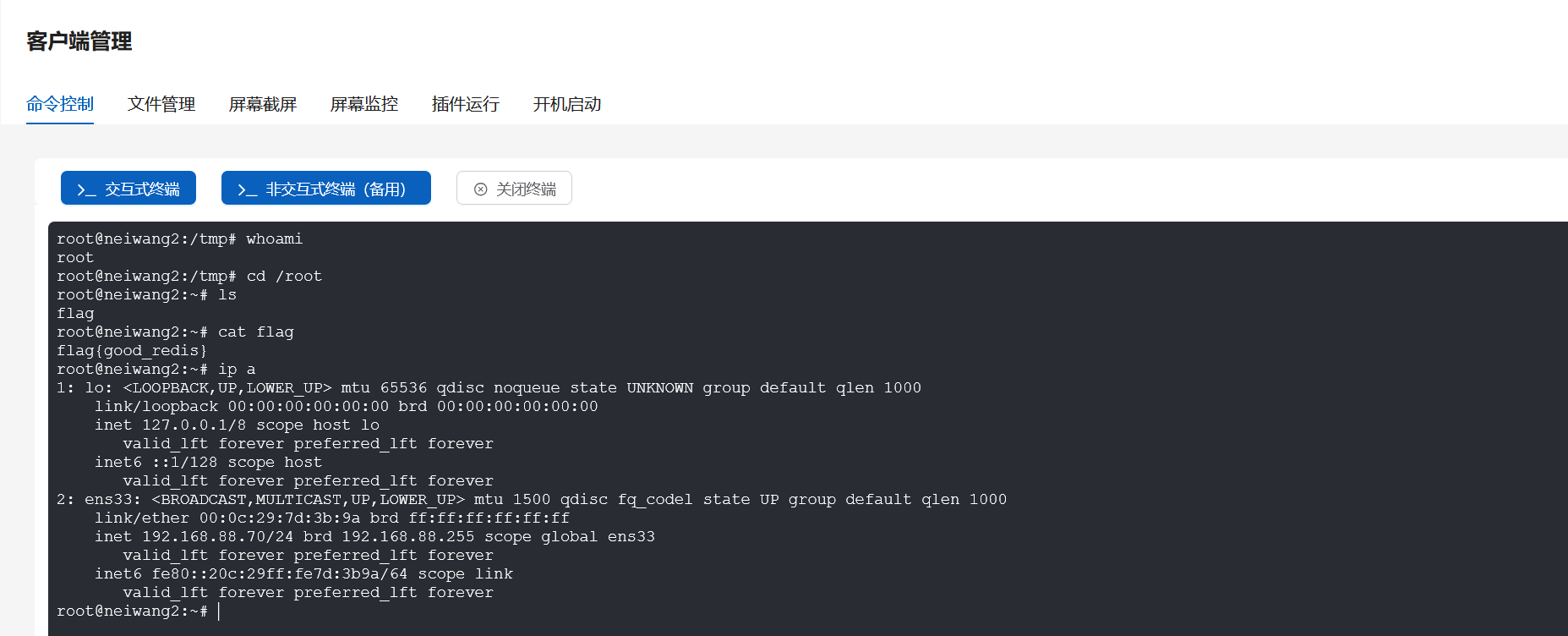 image-20250527233454056